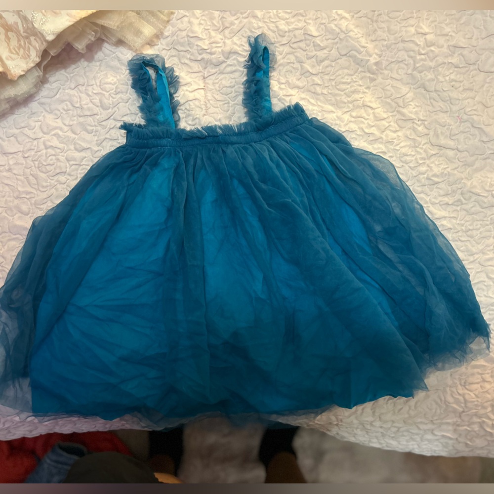 Blue Tulle Skirt